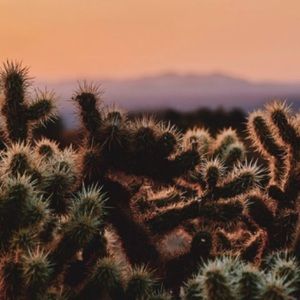 Meet your Posher, Diane